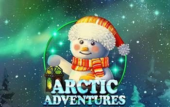 Arctic Adventures